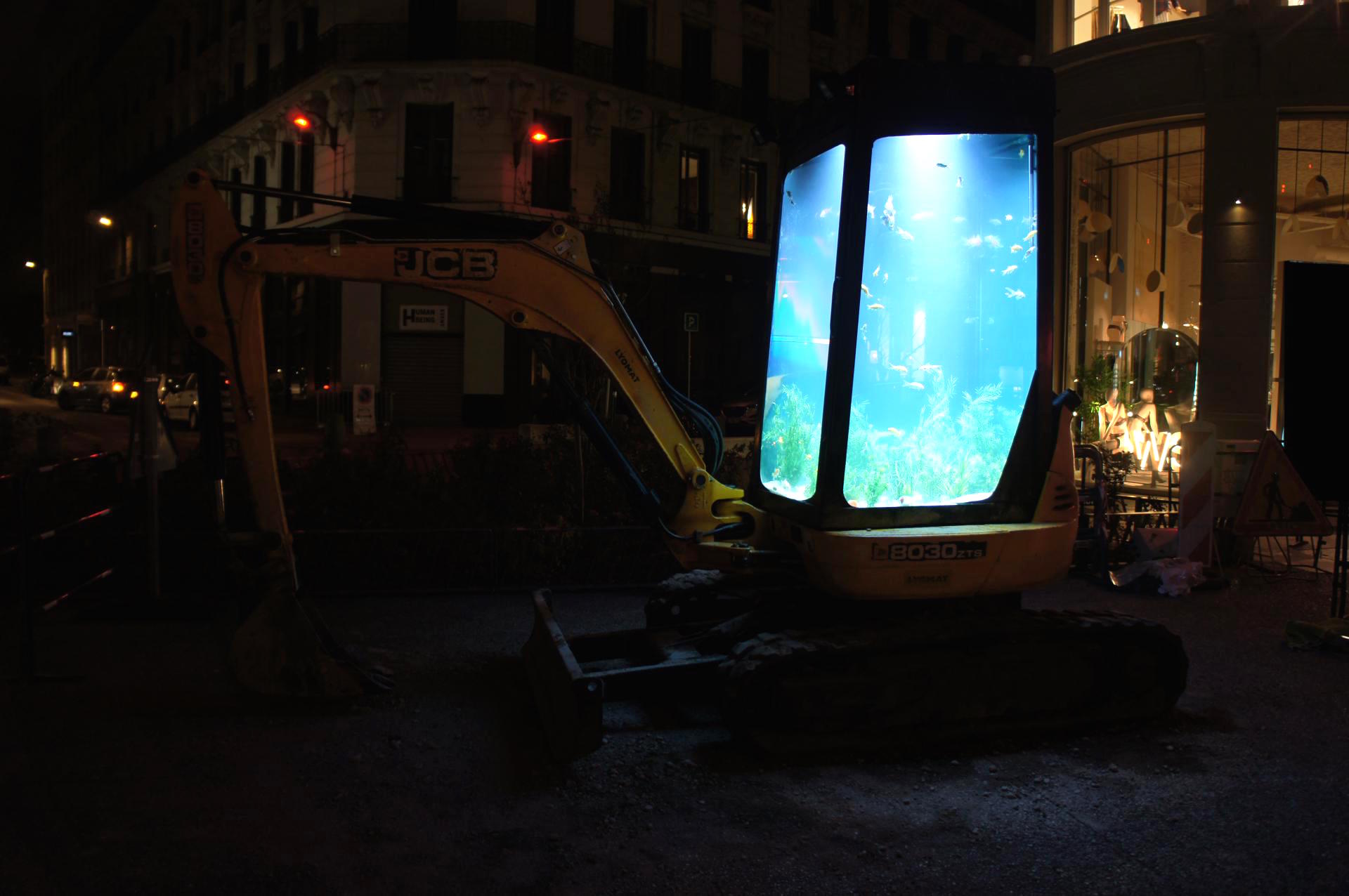 Fête des Lumières : une mini-pelle JBC transformée en aquarium  - Batiweb